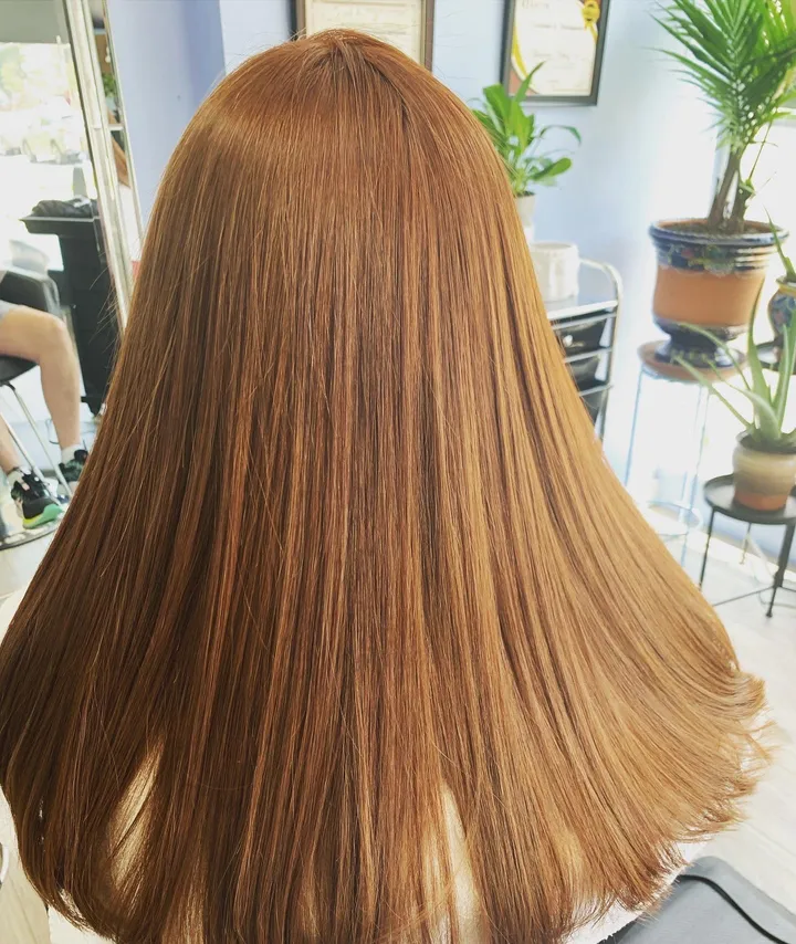 Long auburn hair with layered ends, blown out straight